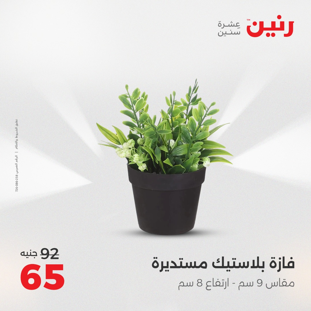 raneen offers from 24aug to 4aug 2025 عروض رنين من 24 أغسطس حتى 4 أغسطس 2025 صفحة رقم 134